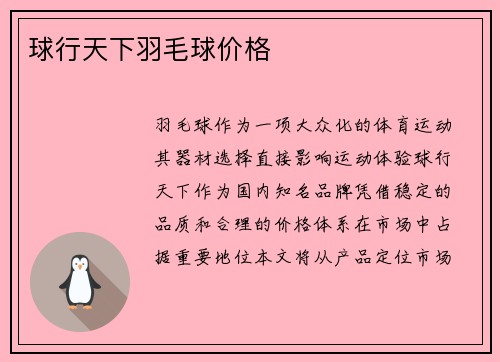 球行天下羽毛球价格