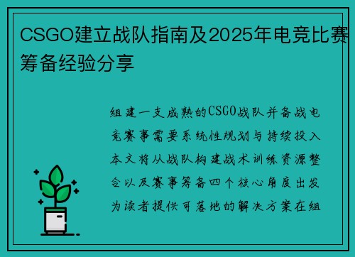 CSGO建立战队指南及2025年电竞比赛筹备经验分享