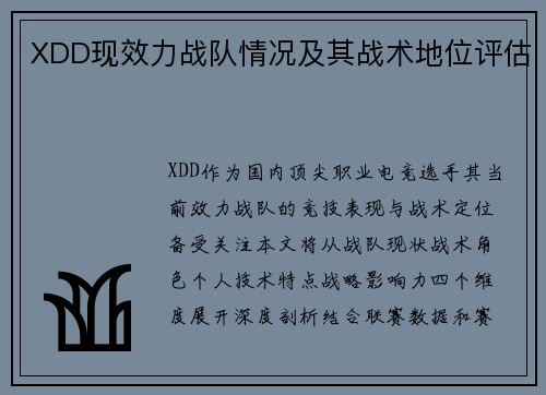 XDD现效力战队情况及其战术地位评估